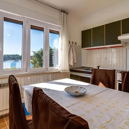 Spacious Apartment Pula